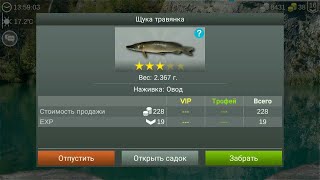 как фармить новичку? что делать после 10 разряда - My Fishing World