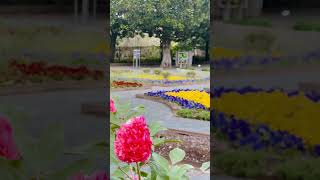 Parc de la téte dor lyon flowers nature naturelovers naturephotography travel france lyon