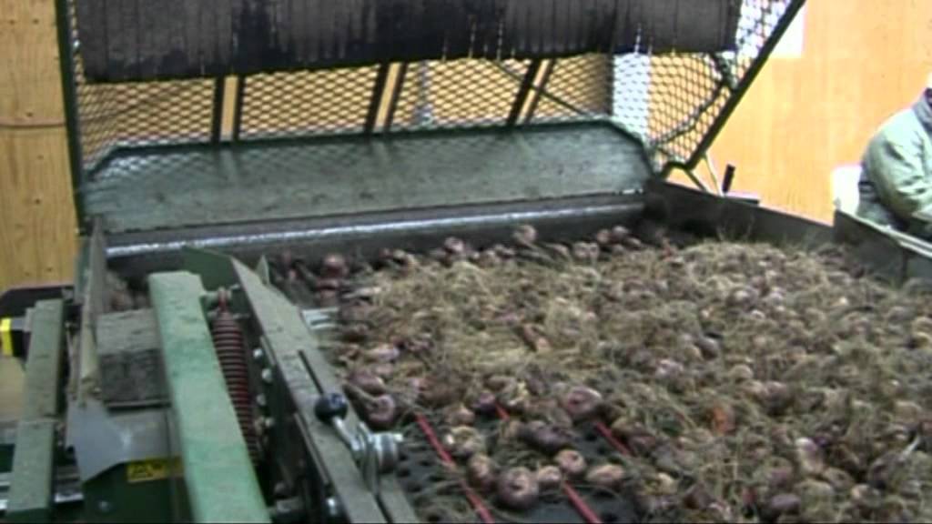 Schouten Bercomex - Pelmachine