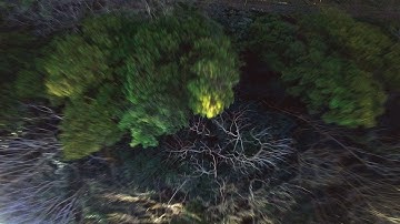 Freestyle of my first 6S FPV drones 🔥 ImpulseRC Apex Mr Steele Frame