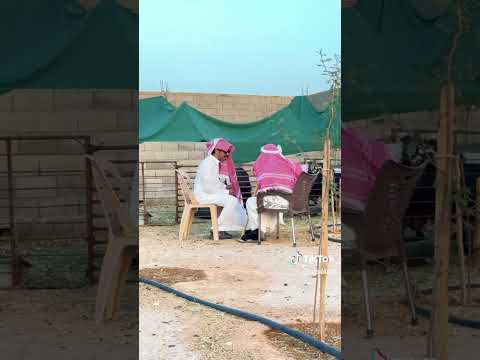 الشايب ابو خليف