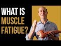 Muscle Fatigue: Why do muscles get tired and weak after exercise?