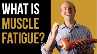 Muscle Fatigue: Why do muscles get tired and weak after exercise?