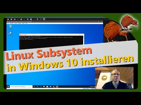 Linux Subsystem in