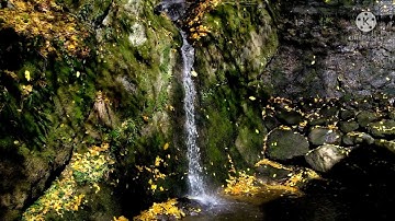 سورة الفاتحة مكررة بصوت هادىء للراحة النفسية والنوم الهادىء