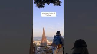 Germany Travel Guide | Freiburg Münster Fairy Tale Towns Castles Vineyards 🇩🇪
