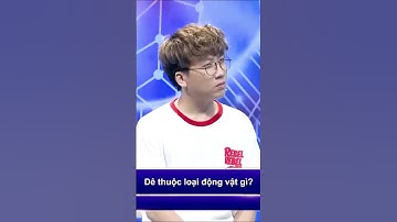 Trí Lực Sánh Đôi | Sam gây BẤT NGỜ phát ngôn của cô mà #tlsd