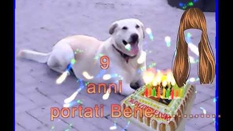 tutorial video effetti particle illusion by gianni