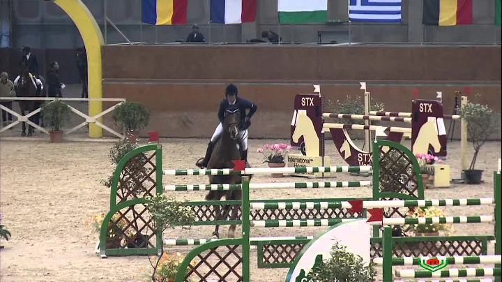 *SOLD* Cashman 18 - CSI2* GP Qualifier 1.45, Clear...