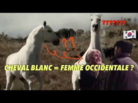 Vidéo: Monter Le Cheval Blanc: être étranger En Corée Du Sud - Réseau Matador