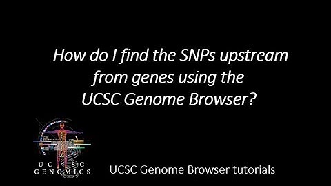 How do I find the SNPs upstream from genes using the UCSC Genome Browser?