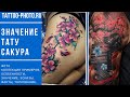 Значение тату Сакура - информация про особенности и фото примеры для сайта tattoo-photo.ru