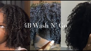 4b Natural Hair Wash N' Go Tutorial for Beginners | Wetline Xtreme Gel