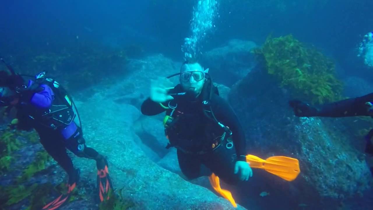 SCUBA Diving Jervis Bay Labyrinth Dive Site - YouTube