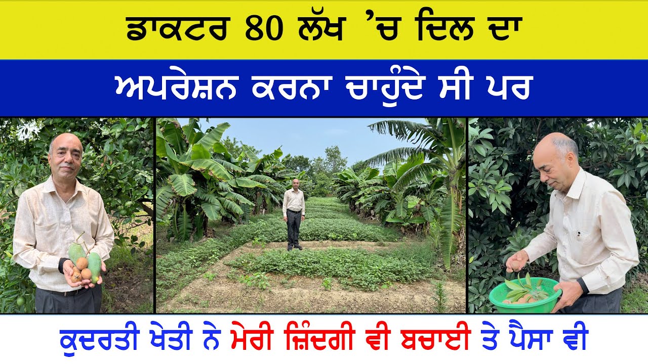 ਕਾਮਯਾਬ ਬਿਜ਼ਨਸ ਮੈਨ ਦੇ ਸਫਲ ਕਿਸਾਨ ਬਣਨ ਦੀ ਕਹਾਣੀ