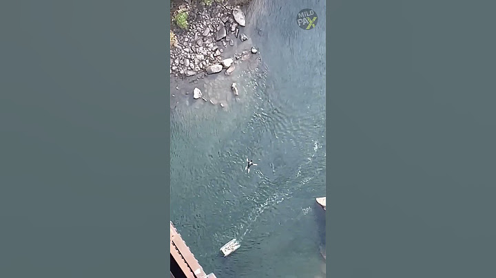 He Free Falls into the Water, Opens Chute at the LAST SECOND! 😱