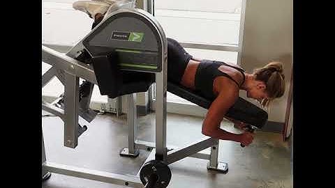 Lying 1 1/4 Reps Leg Curl