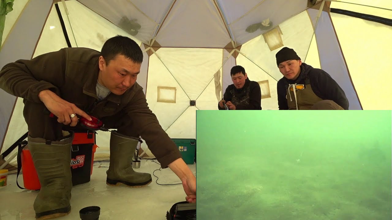 Трофейная рыбалка в Якутии! Yakutia