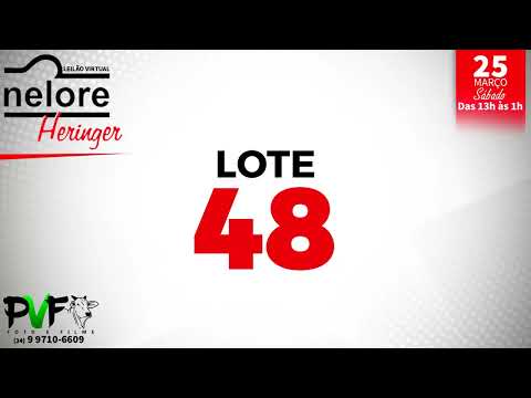 LOTE 48