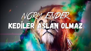 Norm Ender - Kediler Aslan Olmaz (Sözleri / Lyrics) #APRICITAS