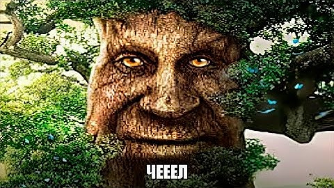 Wise Mystical Tree 1 Hour