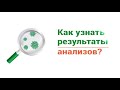 Как узнать результат анализа