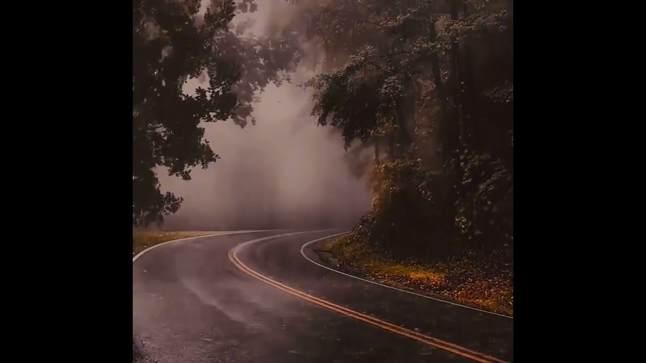 Powerful Night Thunderstorm 🌩️ Heavy Rain & Thunder Sounds | 1 Hour Windy Rain for Sleep
