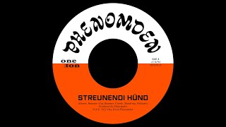 Video thumbnail of "PHENOMDEN - Streunendi Hünd (official visualizer)"