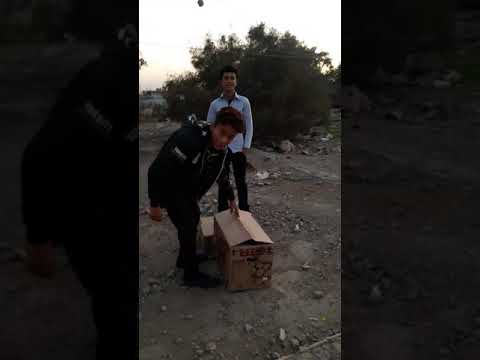 فكة حي الجهاد حمر