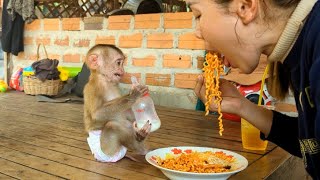 Pretty monkey BiBi sitting looking the woman fine with noodle maybe hungry too.