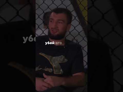 Вот что говорил Хабиб во время боя с Конором🦅#ufc #хабиб #mma #mcgregor #motivation #мма