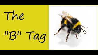 The B Tag