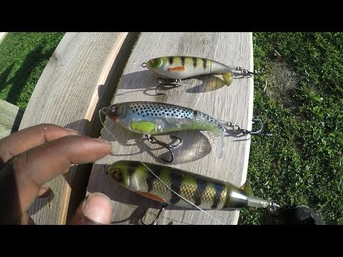 whopper plopper 110 review and a chunky bass blowing up on it !!!! 