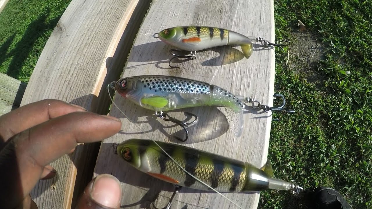 whopper plopper 110 review and a chunky bass blowing up on it !!!! 