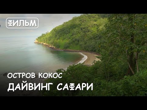 Видео: Каяк с крокодили в Коста Рика [VID] - Matador Network