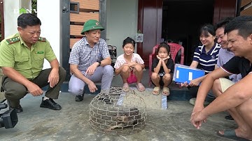 Quảng Trị thả chú rái cá vuốt bé hung dữ thuộc loài rái cá nhỏ nhất thế giới về với thiên nhiên