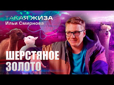 Такая жиза Ильи