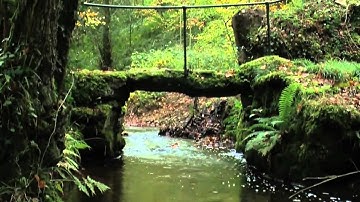 "Ode to Autumn" by John Keats