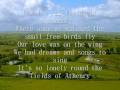 The fields of athenry   lyrics 