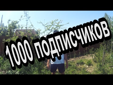1000 подписчиков. Про монетизацию. Что дальше...