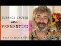 Sandor Katz Interview Preventing Kahm Yeast Mold Growth Sandor Katz Interview Preventing Kahm Yeast Mold Growth