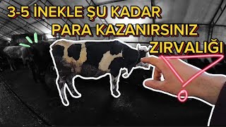 3-5-7-10 İnekle Şu Kadar Para Kazanın Zırvalığı