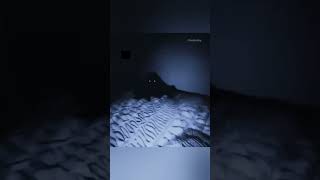 Alone In The Middle Of The Night Resimi