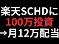 【一括100万投資→月12万配当！？】楽天SCHDに100万・300万・500万・1,000万 一括投資した場合の配当金シミュレーション