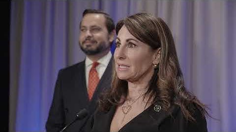 3rd Annual Broward Mental Health Summit (Overview)