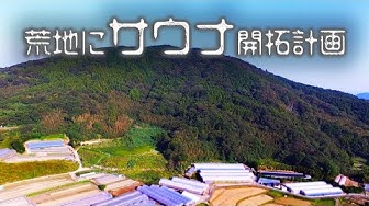 ダイゴセダイ Youtube