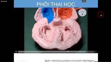 [BV Từ Dũ]   -  Bất thường trên mặt cắt 4 buồng tim  |  BS. Đặng Ngọc Tuyên