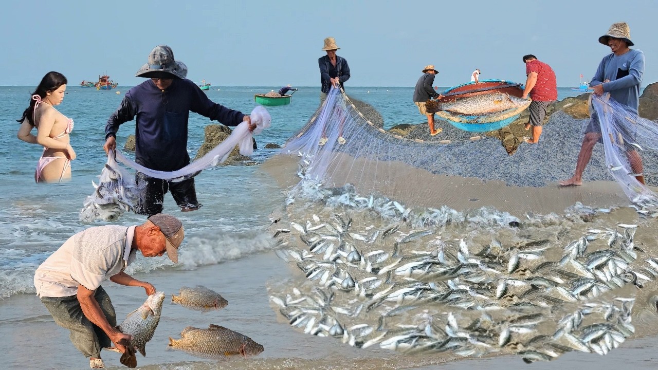 Cận Cảnh Các Chú Kéo Lưới Cá Bất Ngờ Zô Mánh - Kéo Trúng Đàn Cá Hàng Nghìn Con Tại Bãi Tắm Rất Đẹp