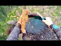 Lobster Catch and Cook in Island Lagoon!