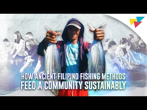 How Ancient Filipino Fishing Methods Feed a Community Sustainably | Choose Philippines